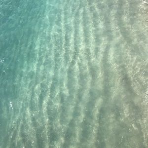 Meet your Posher, Lilly